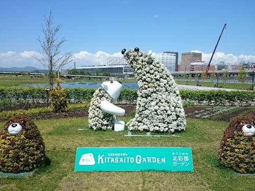 旭川ならではの美しい風景もいっぱいです!