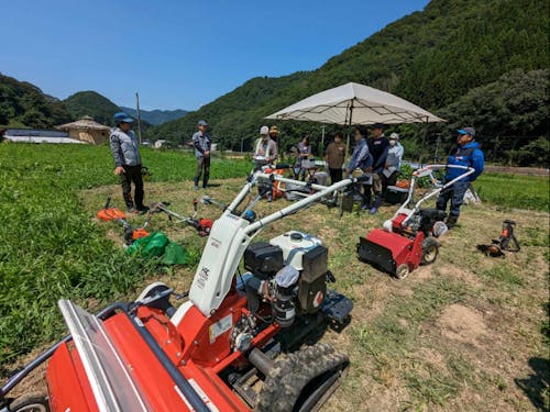 養父市で現地体験イベント(例:草刈り体験会)