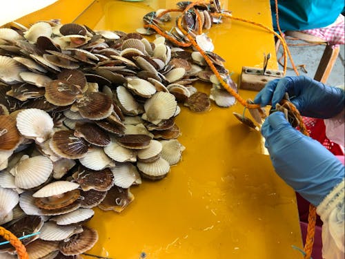 ベテランさんだとこの量を10分もかからず終わらせます。