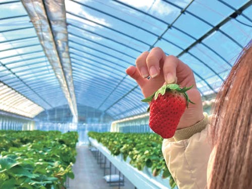 空き家やまちの特産品などのPRの取材