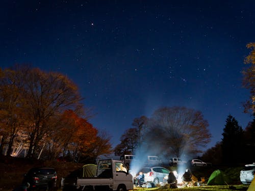 夜のオートサイト