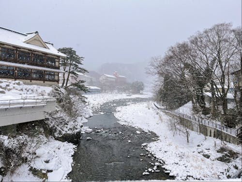 ゲストハウスほとりの近くの橋で撮った写真