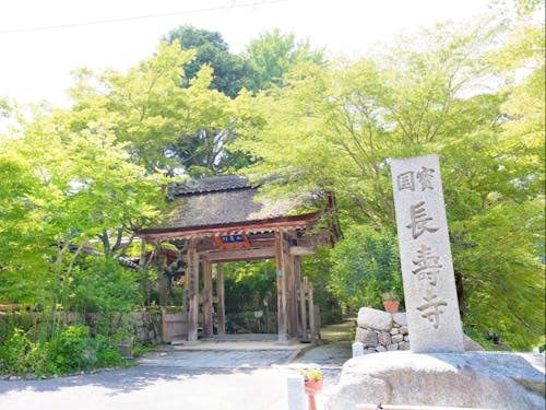 市内には3つの国宝寺院があります!