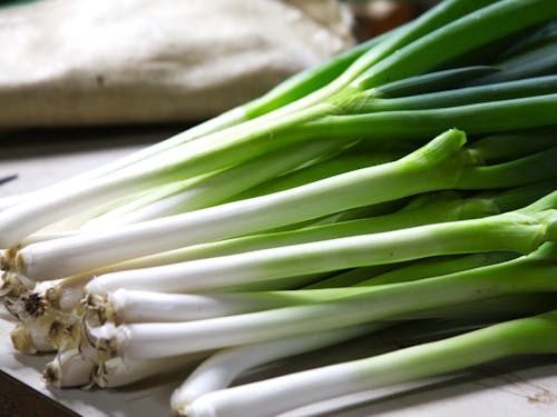 トマト農家が栽培したネギ