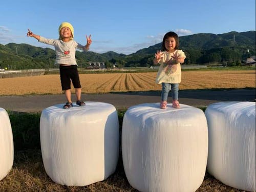 自然に触れ合いながらの教育