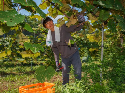 地域おこし協力隊OBの山口さん