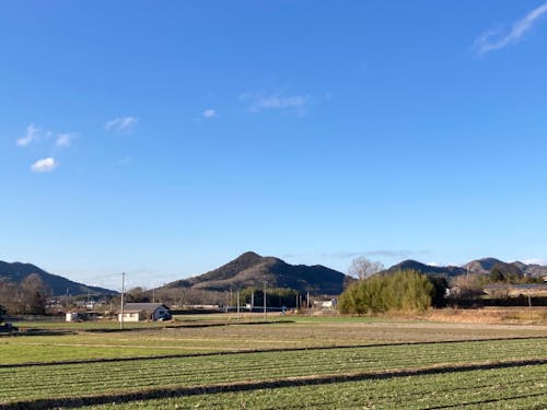 美しい田舎の風景