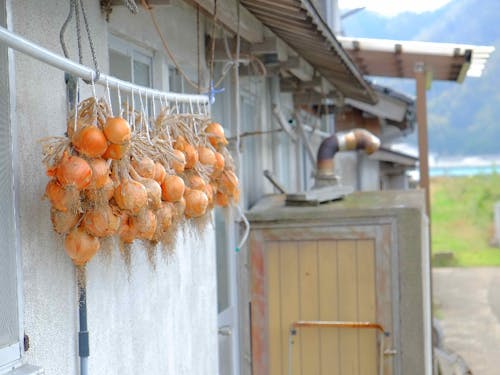 玉ねぎが保存されている光景が好きです。