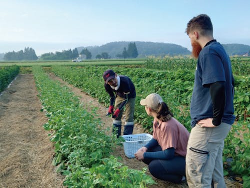 伝承野菜もつくる少量多品種栽培農家のもとに毎週通ったお二人。得るものが多かったようです!