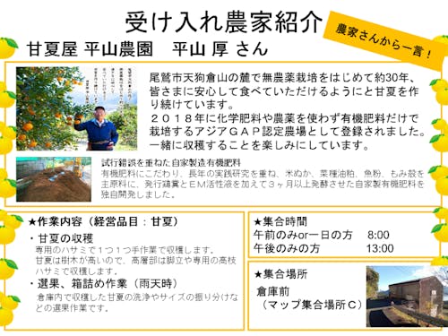 甘夏屋 平山農園 (平山 厚さん)