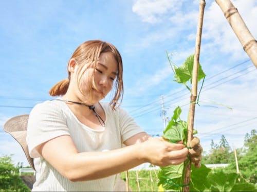 地域の畑で活動する小南さん