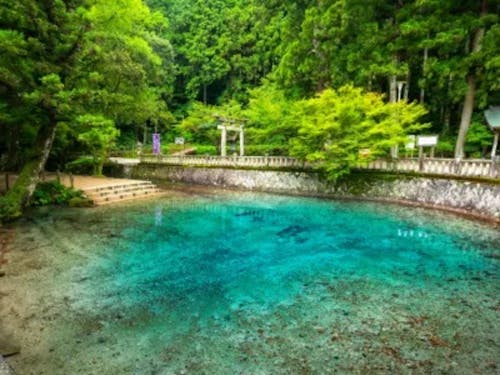 エメラルドグリーンが美しい「別府弁天池」