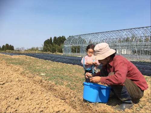 子どもと一緒に畑仕事