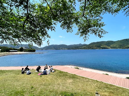 夏の海士町の様子