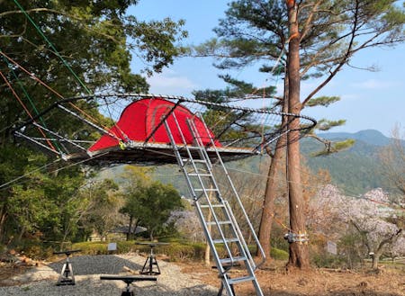 ツリーフロアー。空中に浮いたフロアーにテントを張ることができます。