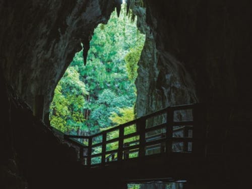 日本屈指の大鍾乳洞「秋芳洞」