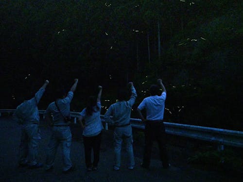 職場のみんなでホタル鑑賞!