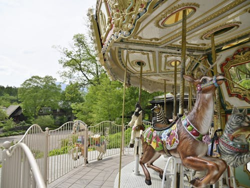 メリーゴーラウンドから見下ろす場所に今回の募集物件があります