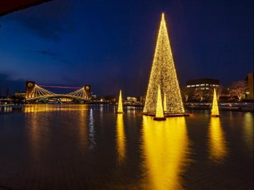 富岩運河環水公園のライトアップ(富山市)