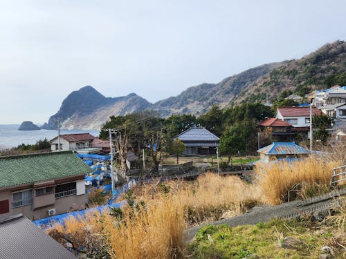 第5回の植樹場所