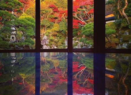四季折々の景色、日本の美を感じる事ができます。
