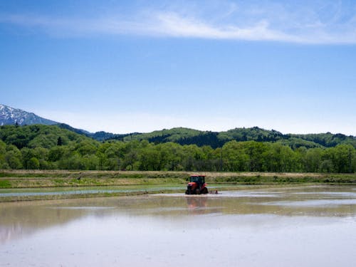 遠く雪山を望む田植え風景