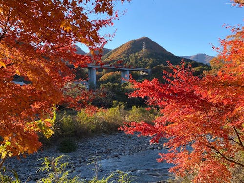 季節の移り変わりを日々感じられます。