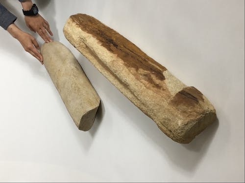 特徴を引き出す角度で設置してパシャリ