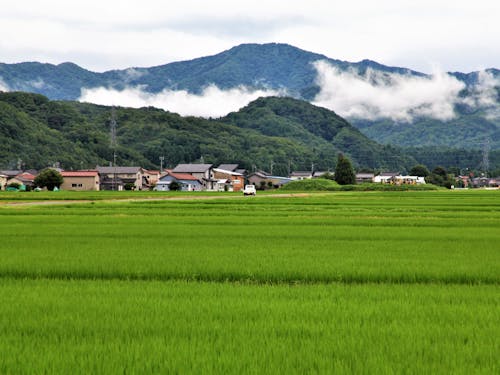 温泉地から車を5~10分走らせると里山を眺められる