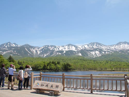 知床連山を背景に原生林の中にたたずむ神秘的な湖「知床五湖」