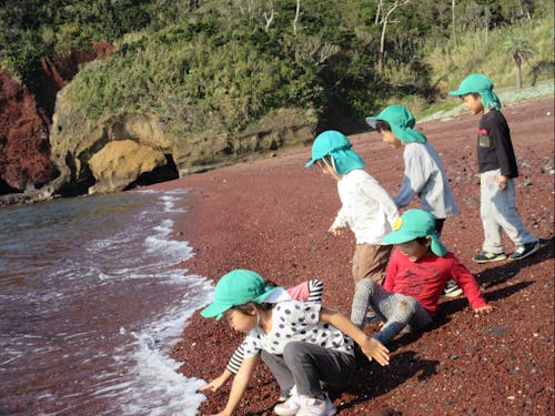 観光スポット赤浜海岸での外遊び