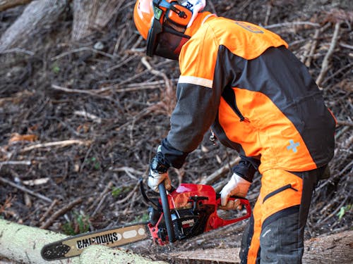 吉里吉里国のチェーンソーマン