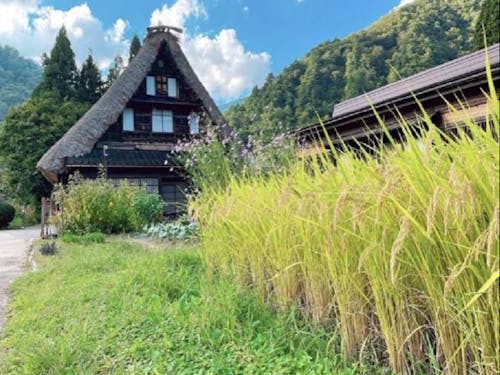 菅沼合掌造り集落(南砺市)