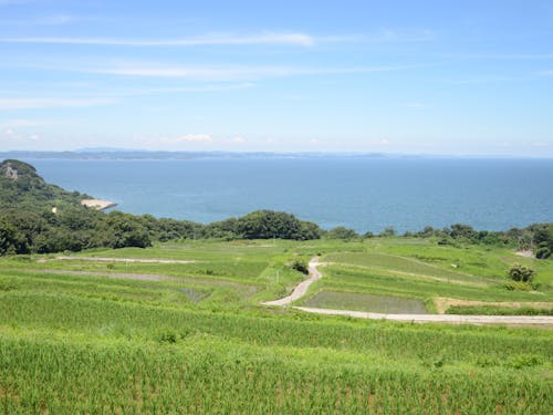 不便を楽しめる方におすすめの豊島暮らし