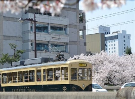 桜と市電電車