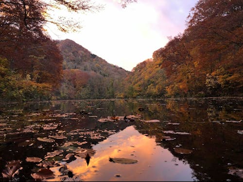 2万年の昔から人の手で守られてきた、三条市が誇るかけがえない宝