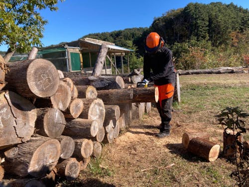 半林半X事業作業中!