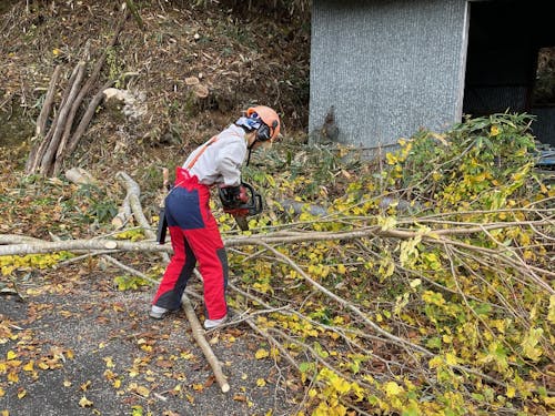 今ある資源や地域と向き合う小さな林業を目指します