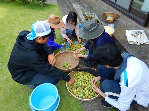 地域の方や子どもたちと梅仕事だってやっちゃいます
