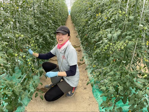 はじめての農業体験!