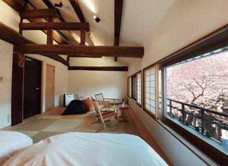 桜を楽しめる一日二組限定の宿、須貝邸