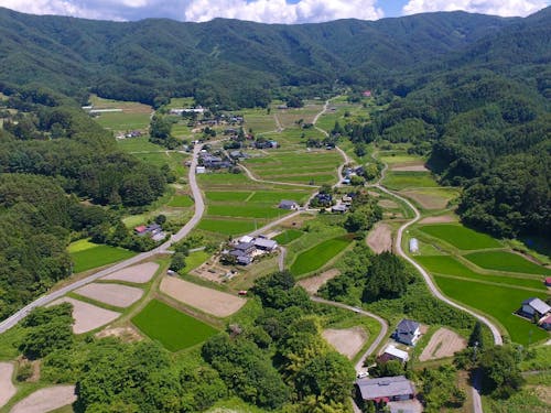 自然環境は抜群。かつ市街地から20分程度と便利な立地