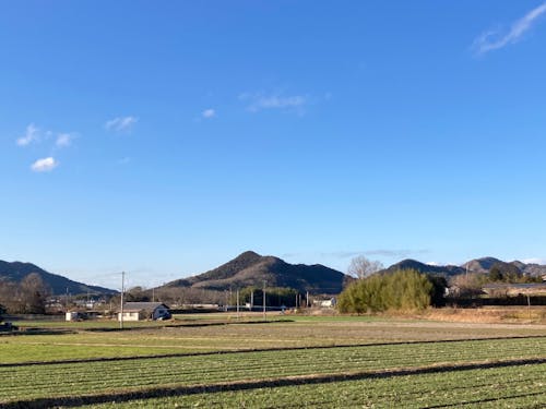 美しい田舎の風景