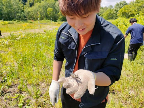 自然に囲まれた生活。クワガタも見つけられる