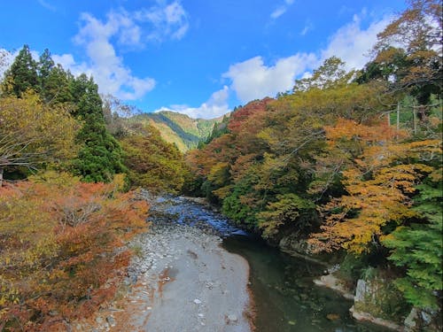 初秋の奥永源寺地区