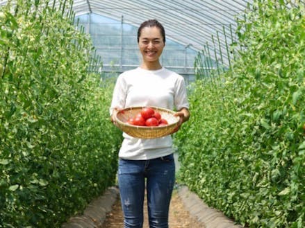 中山地区でトマトを栽培している土屋さん
