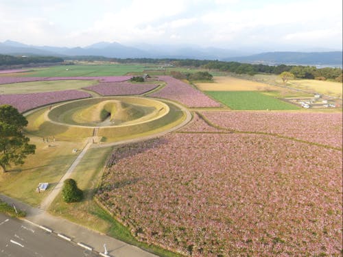春~秋は西都原でのお花見もご一緒にどうぞ◎
