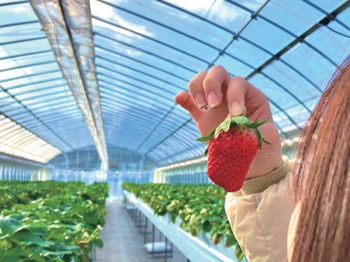 空き家やまちの特産品などのPRの取材