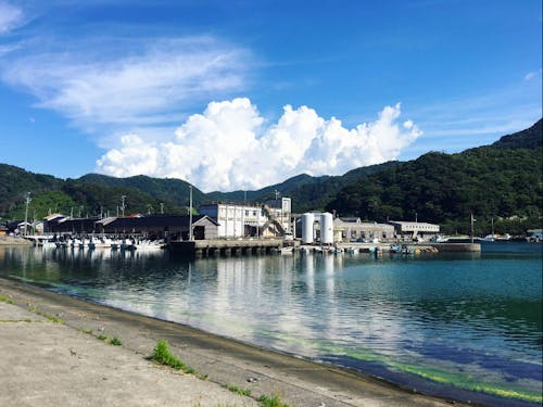 エモすぎる漁港