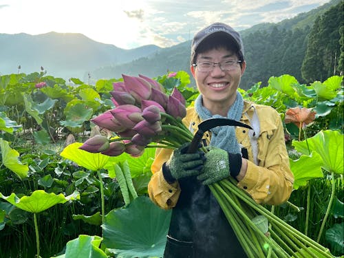地方移住8年目。複業の一コマ(花ハス収穫)